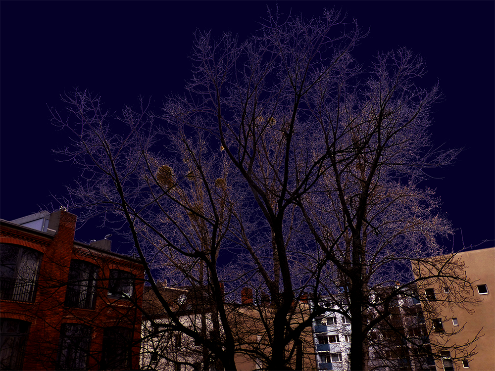 Ein Foto von eine Analog Kamera Marke Minolta, wenn man clickt sieaufgenommen von meine Fenster in der Nacht, man kann sehen der Vollmond.